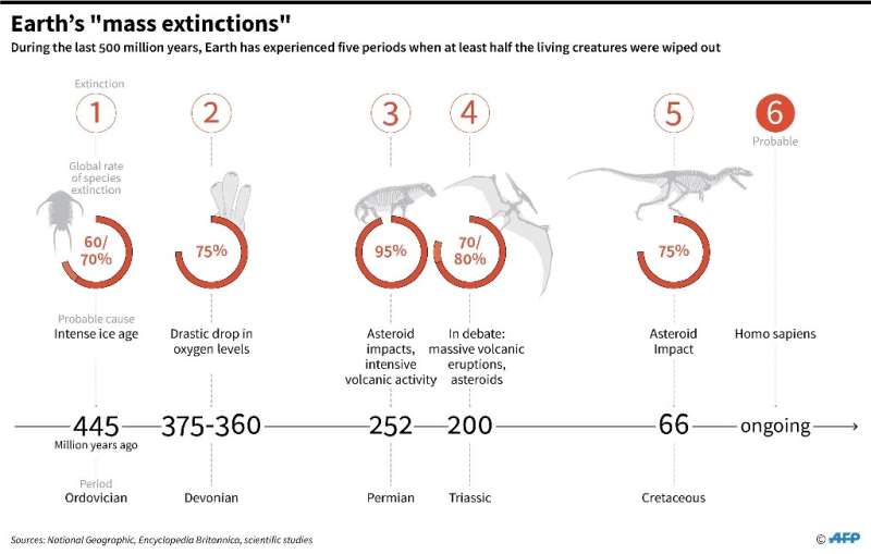 Graphic on Earth's &quot;mass extinctions&quot; during the last 500 years