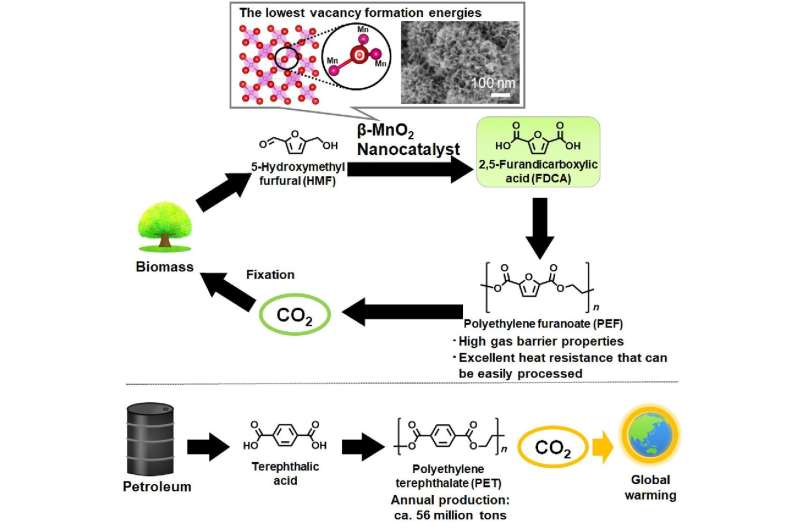Green catalysts with Earth-abundant metals accelerate production of bio-based plastic