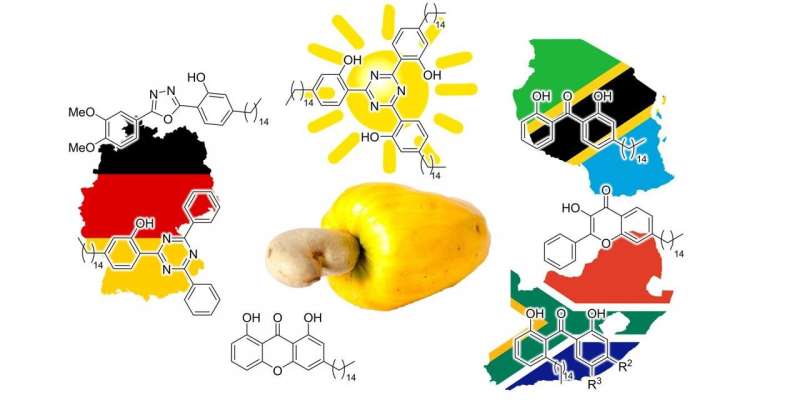 Green chemists find a way to turn cashew nut shells into sunscreen