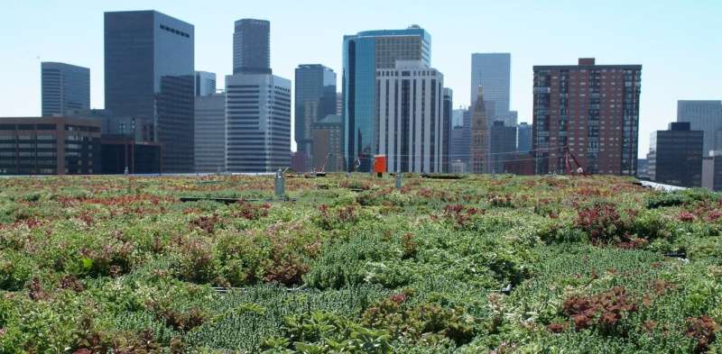 Green roofs improve the urban environment – so why don't all buildings have them?