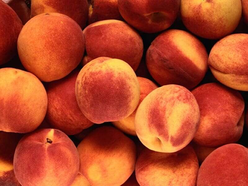 Healthy, delicious cooking with summer's peaches, plums