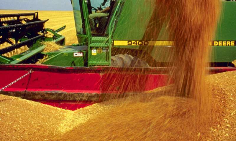Helping wheat and corn producers target their fertilizer needs