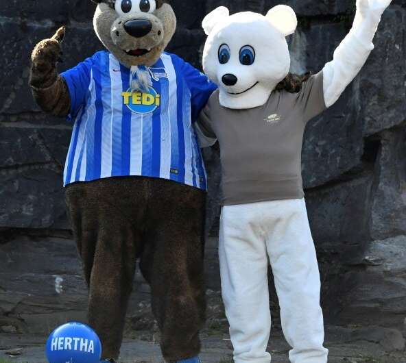 Herthinho (L), the mascot of Bundesliga club Hertha Berlin, and a person dressed in a polar bear suit placed gifts for polar bea