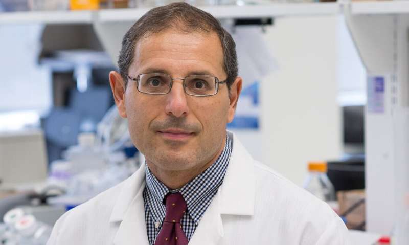 High-fat diet in utero protects against Alzheimer's later, Temple team shows in mice