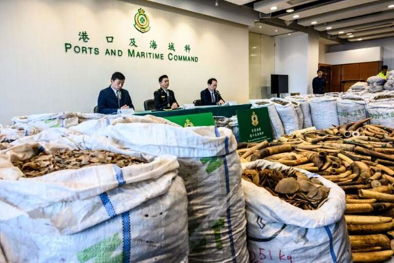 Hong Kong customs seized  8,300 kilos of pangolin scales, the latest huge haul to underscore the city's central role in the lucr