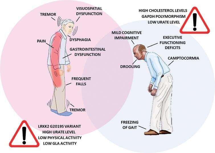 How and why does Parkinson's disease effect women and men differently?