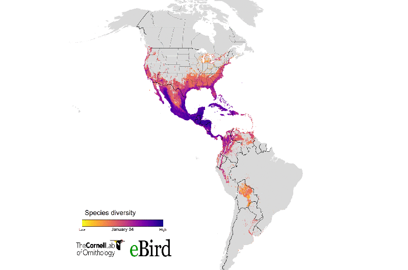 How birders helped pinpoint hotspots for migratory bird conservation