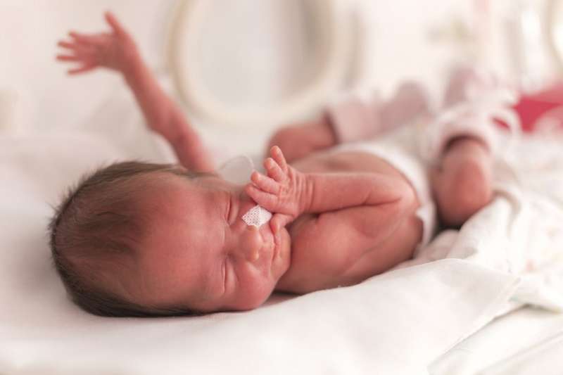 How do those born preterm at very low birth weight fare as adults?