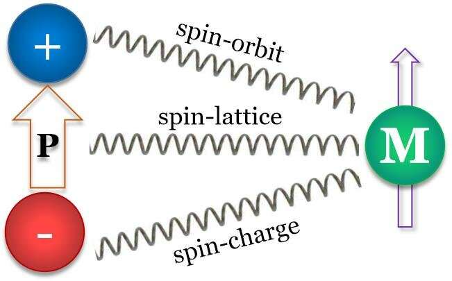 How spin dances with dipole
