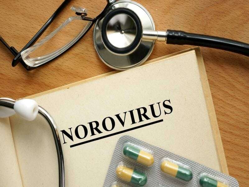 How to fight norovirus, the 'Cruise ship' germ