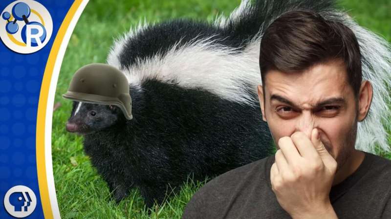 How to get rid of that skunk smell? (video)