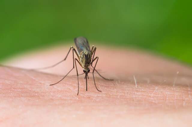 How to Stay Safe from Eastern equine encephalitis