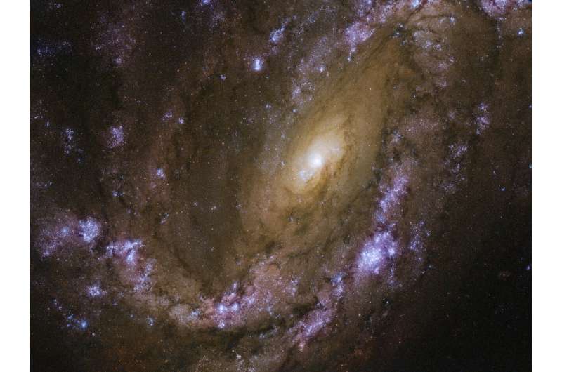 Hubble sets sights on an explosive galaxy