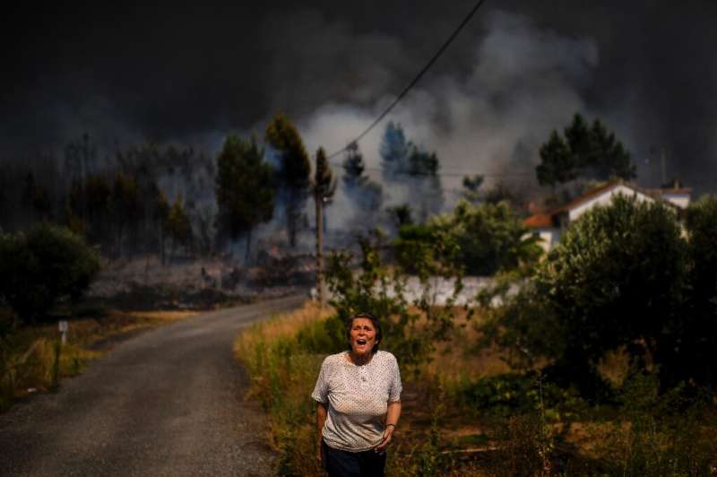 Huge wildfires have ravaged the mountainous Castelo Branco region of central Portugal