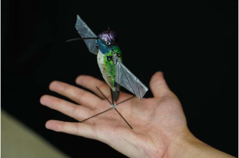 Hummingbird robot uses AI to soon go where drones can't