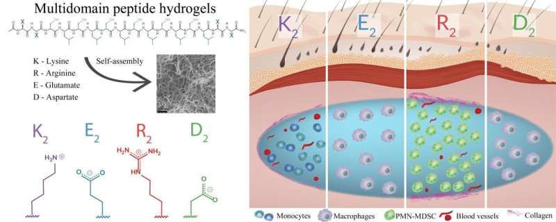 Hydrogels control inflammation to help healing