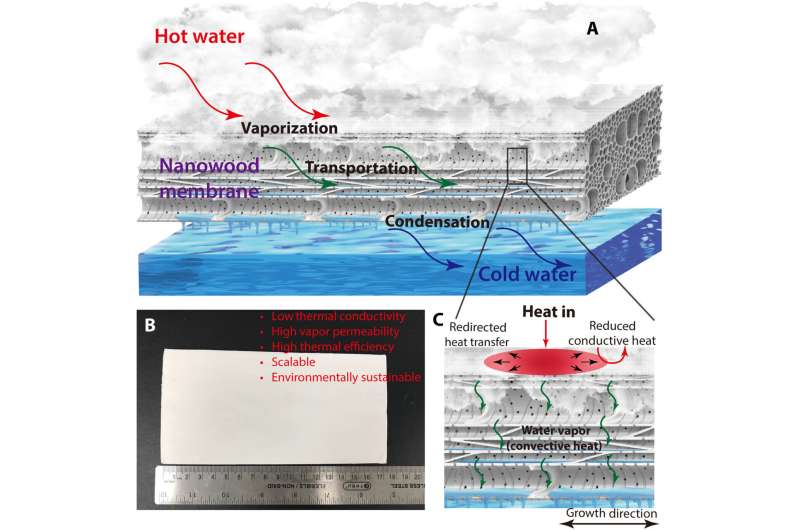Hydrophobic nanostructured wood membrane for thermally efficient distillation