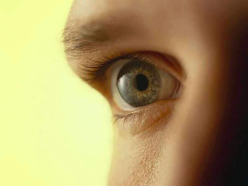 羟氯喹血液水平预测狼疮的视网膜病的风险