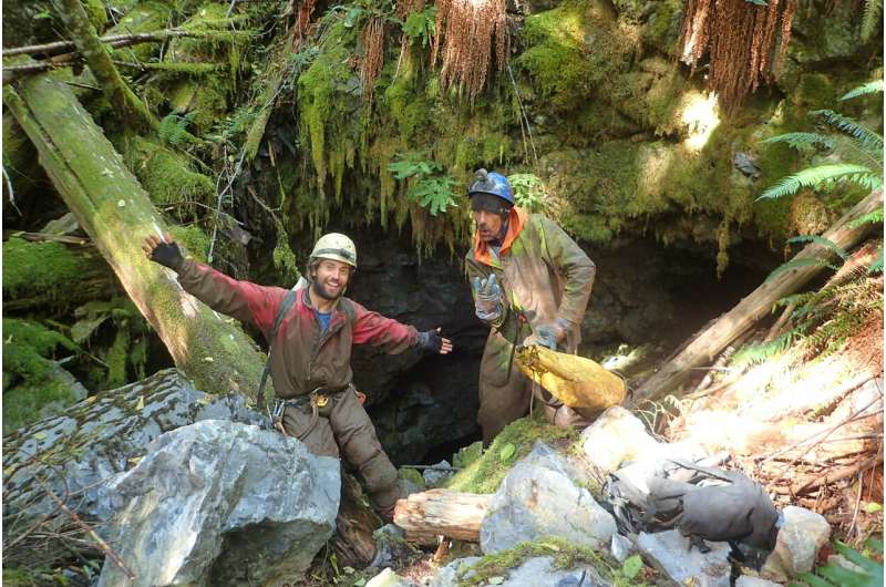 Ice Age survivors or stranded travellers? A new subterranean species discovered in Canada