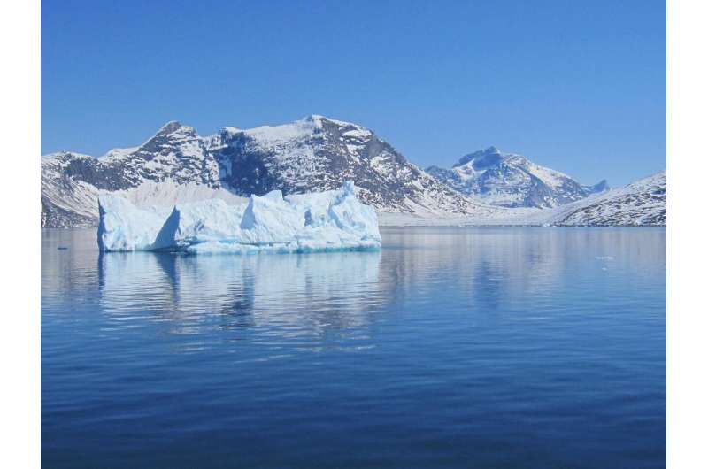 Icebergs as a source of nutrients
