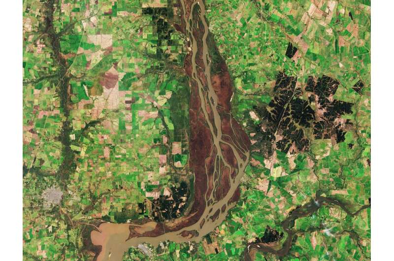 Image: Uruguay River wetlands