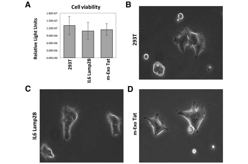 Impact of exosomal HIV-1 Tat expression on the human cellular proteome