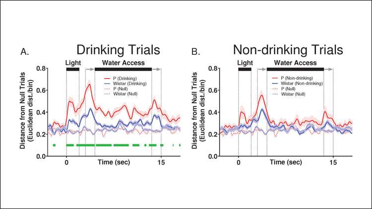 Impaired brain activity in rats with family history of alcohol abuse
