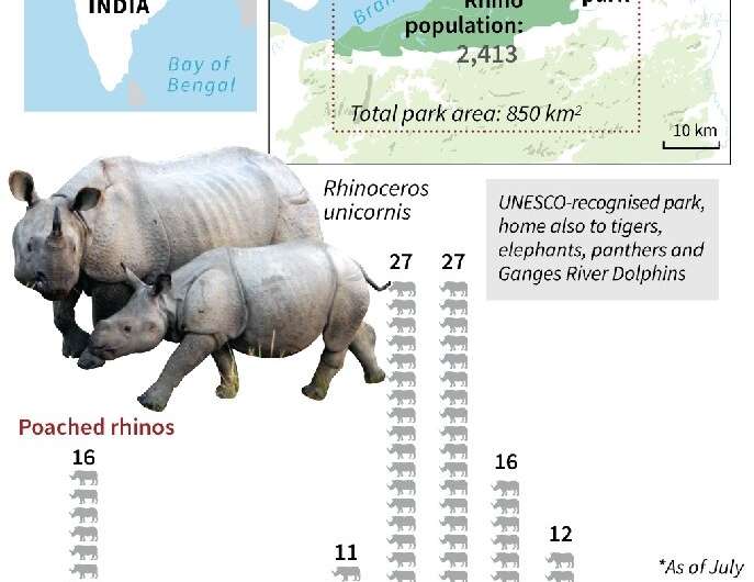 Indian rhinos threatened by poaching