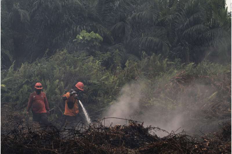 Indonesia seals off 30 companies over forest fires