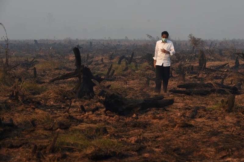 Indonesia's President Joko Widodo inspects a peatland clearing that was engulfed by fire in 2015