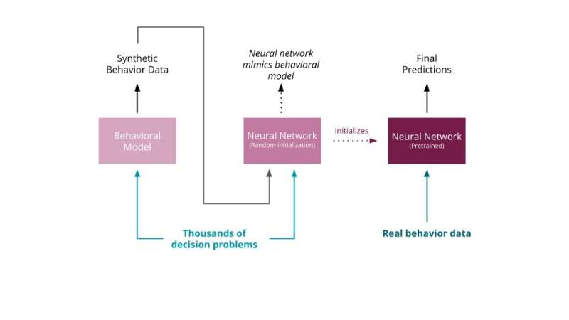 Infusing machine learning models with inductive biases to capture human behavior