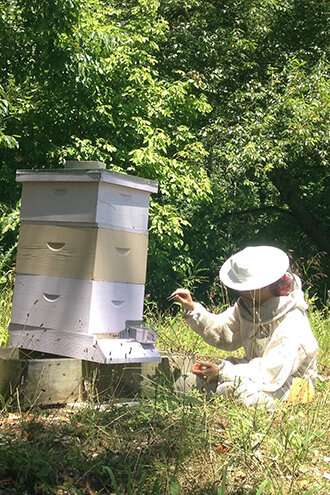 In hives, graduating to forager a requirement for social membership