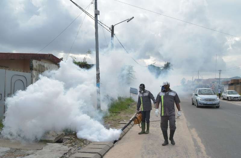 In Ivory Coast, the only way to fight dengue is to fight the mosquitoes that spread it, officials say