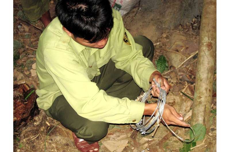 In Southeast Asia, illegal hunting is a more immediate threat to wildlife than forest degradation