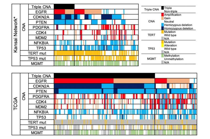 Interregional differences in somatic genetic landscape diversify prognosis in glioblastoma