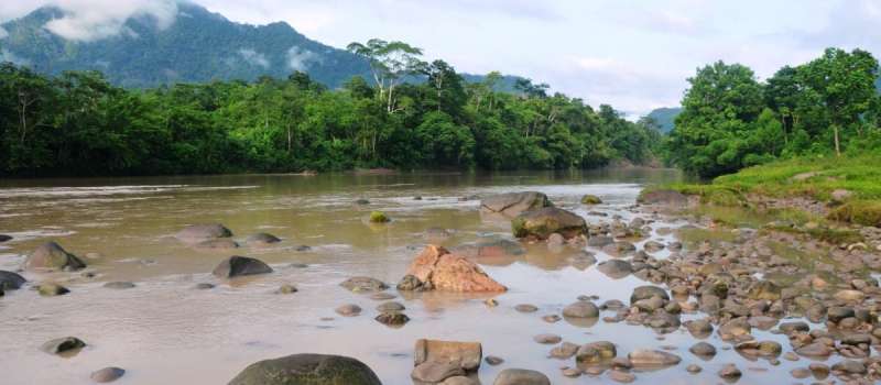 In the Amazon, protected areas often lose out when the search for energy is on