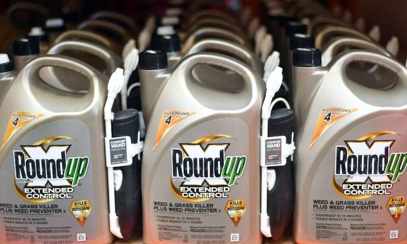 In this file photo taken on July 09, 2018 Roundup products are seen for sale at a hardware store in San Rafael, California