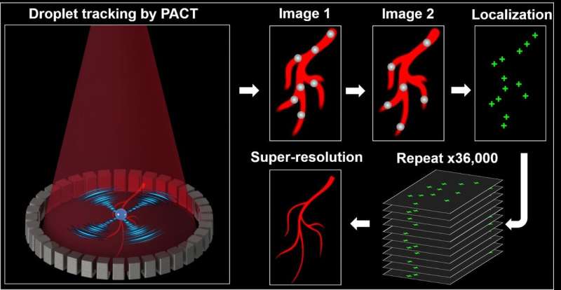 In vivo super-resolution photoacoustic computed tomography by localization of single dyed droplets