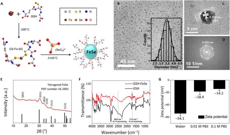 Iron Selenide (FeSe) quantum dots for in vivo multiphoton biomedical imaging