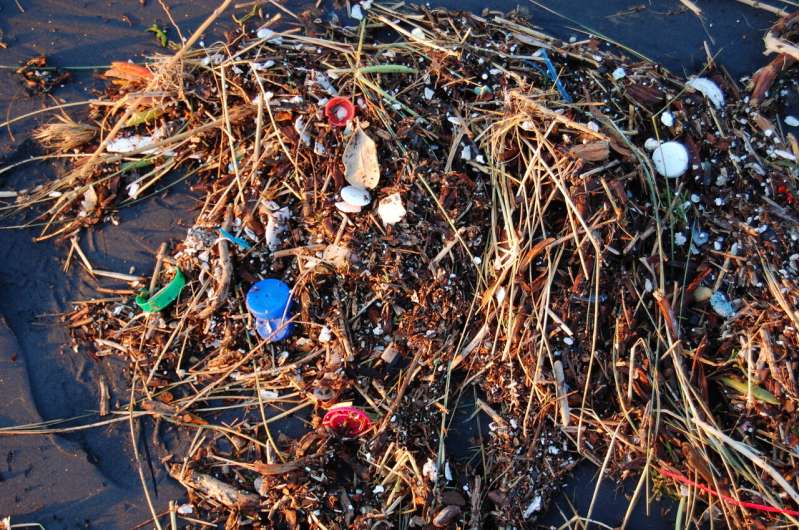 It's not just fish, plastic pollution harms the bacteria that help us breathe