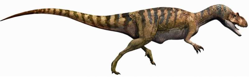Jurassic dinosaurs trotted between Africa and Europe
