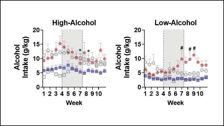 氯胺酮能减少雄性大鼠的饮酒量，但对雌性却没有影响