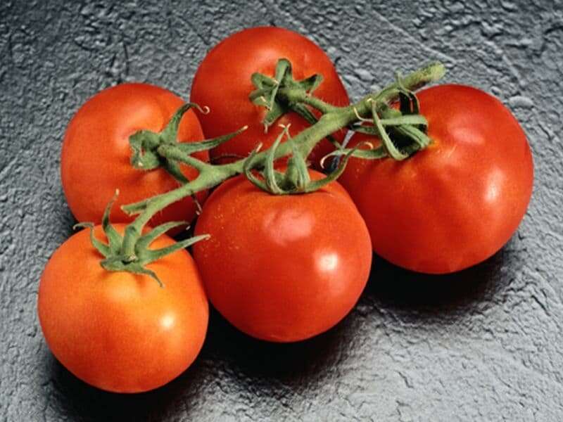 Kitchen essentials: mastering fresh tomato sauce