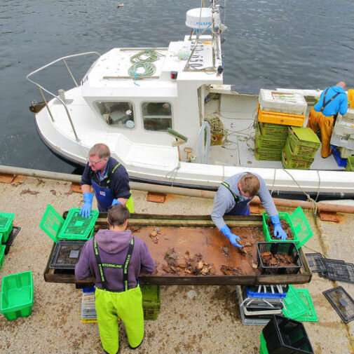 Lack of trust muddies the water in UK fishing industry