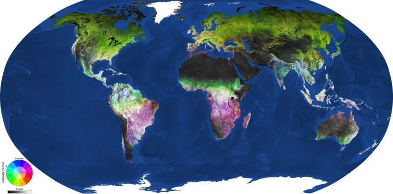 Land-cover dynamics unveiled