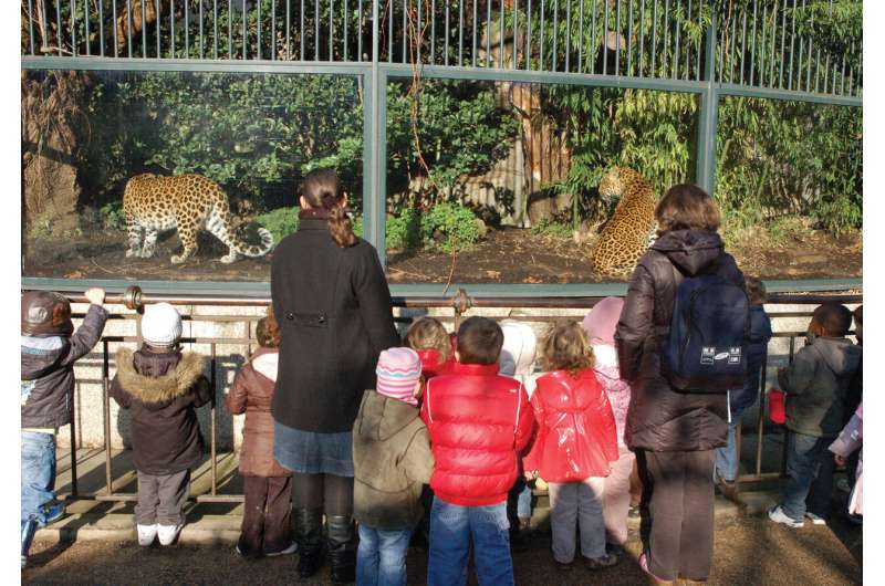 Large carnivores and zoos -- essential for biodiversity conservation marketing