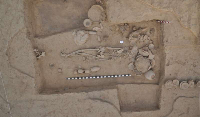 Largest-ever ancient-DNA study illuminates millennia of South and Central Asian prehistory