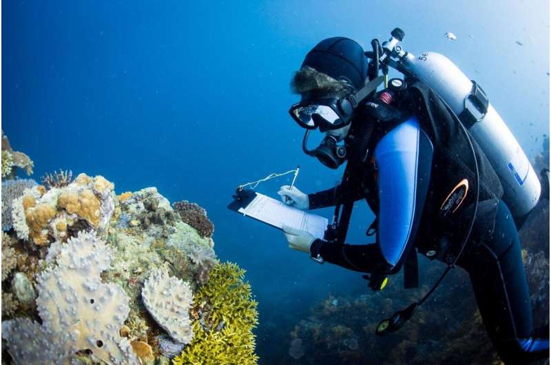 Largest-ever study of coral communities unlocks global solution to save reefs