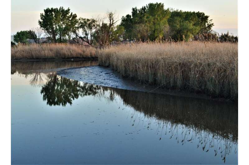 'Legacy' mercury pollution still a problem in New Jersey meadowlands waters