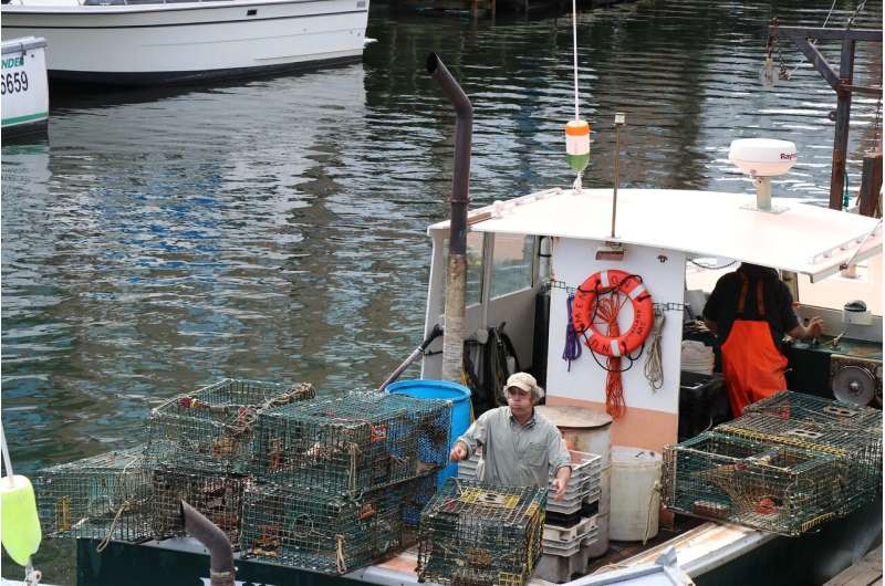 Lobster fishermen